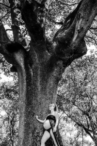 Photo de femme enceinte devant un arbre majestueux à l'escale dans les alpes de haute provence